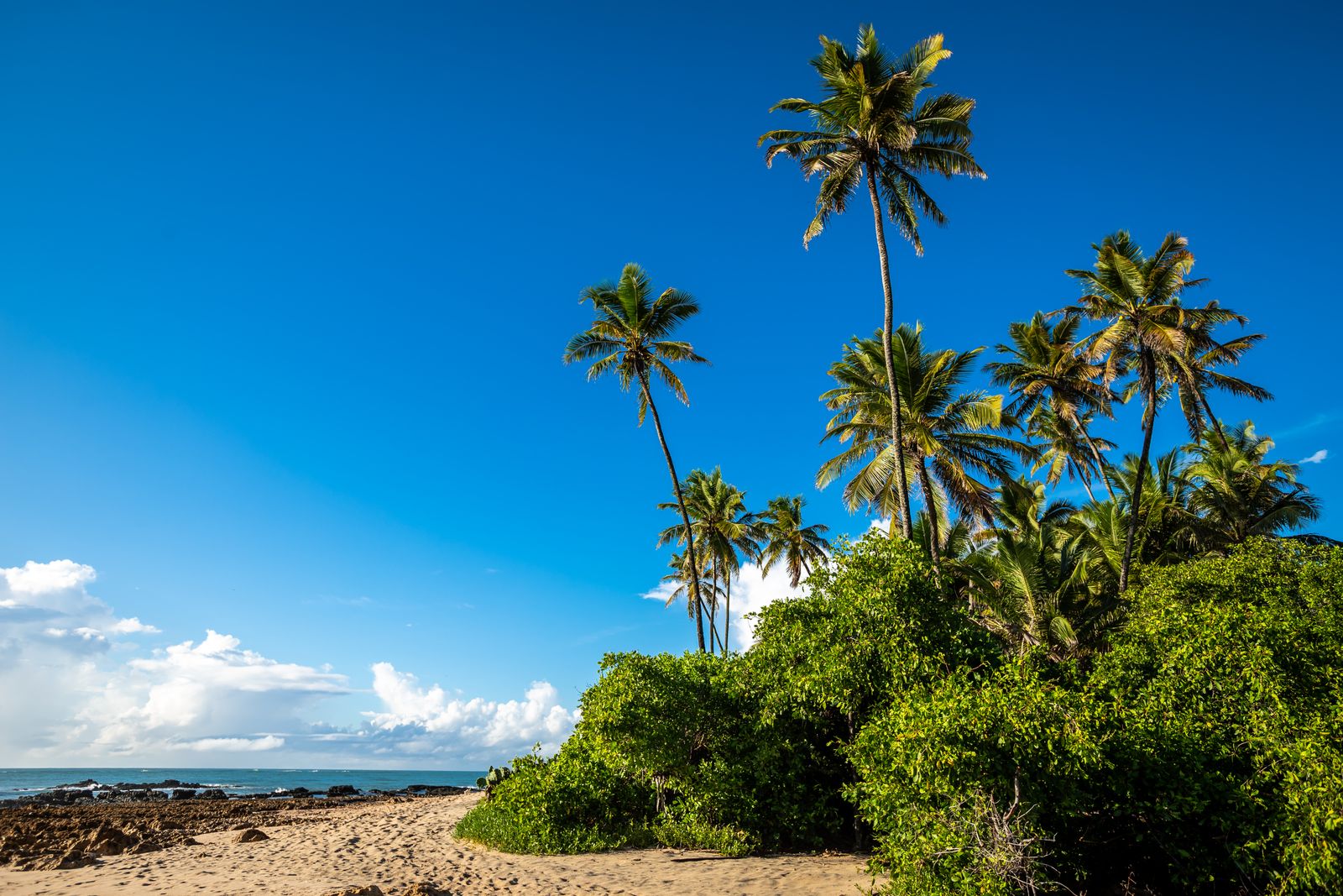 Praia das Caraíbas com palmeiras e céu azul